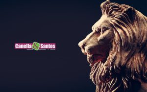 Saiba Como Ficar Longe Da Malha Fina Ao Declarar Seu Ir 2021 Post (1) - Contabilidade em Volta Redonda - RJ | Canella & Santos